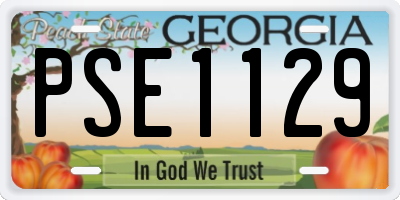 GA license plate PSE1129