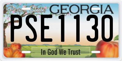 GA license plate PSE1130