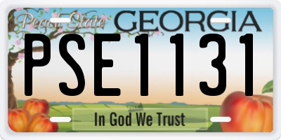 GA license plate PSE1131