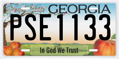 GA license plate PSE1133