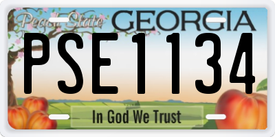 GA license plate PSE1134