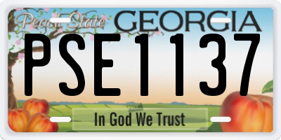 GA license plate PSE1137