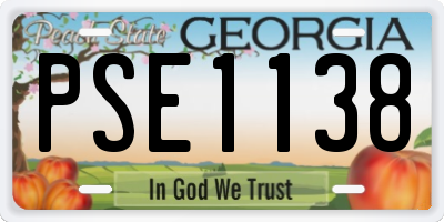 GA license plate PSE1138