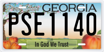 GA license plate PSE1140