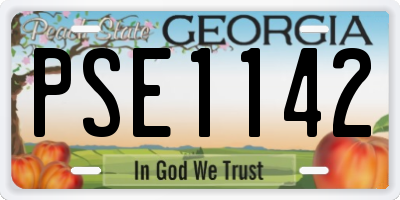 GA license plate PSE1142