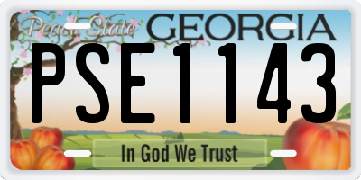 GA license plate PSE1143