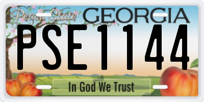 GA license plate PSE1144