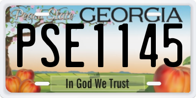 GA license plate PSE1145