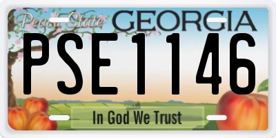 GA license plate PSE1146