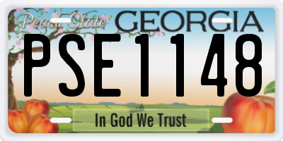 GA license plate PSE1148