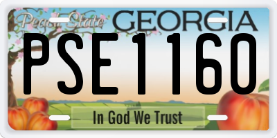 GA license plate PSE1160