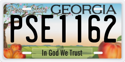 GA license plate PSE1162