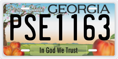 GA license plate PSE1163