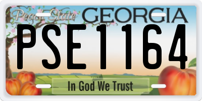GA license plate PSE1164