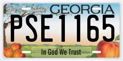 GA license plate PSE1165