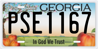 GA license plate PSE1167