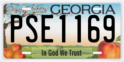 GA license plate PSE1169