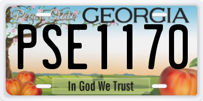 GA license plate PSE1170