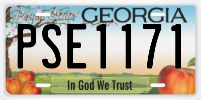 GA license plate PSE1171