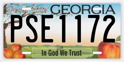 GA license plate PSE1172