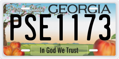 GA license plate PSE1173