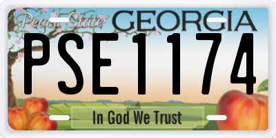 GA license plate PSE1174