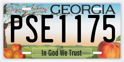 GA license plate PSE1175