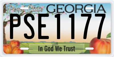 GA license plate PSE1177