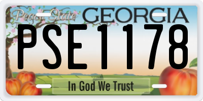 GA license plate PSE1178
