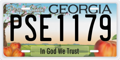 GA license plate PSE1179