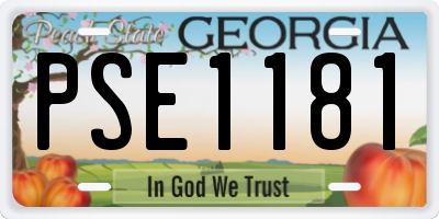 GA license plate PSE1181