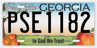 GA license plate PSE1182