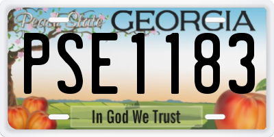 GA license plate PSE1183