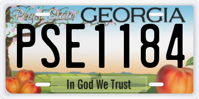 GA license plate PSE1184