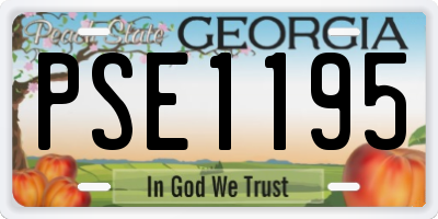 GA license plate PSE1195