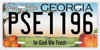 GA license plate PSE1196