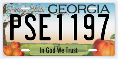 GA license plate PSE1197
