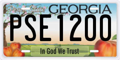 GA license plate PSE1200