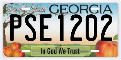GA license plate PSE1202