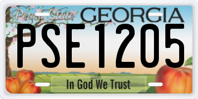 GA license plate PSE1205
