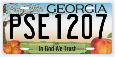 GA license plate PSE1207