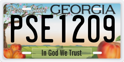 GA license plate PSE1209