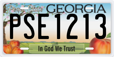 GA license plate PSE1213