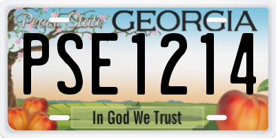 GA license plate PSE1214