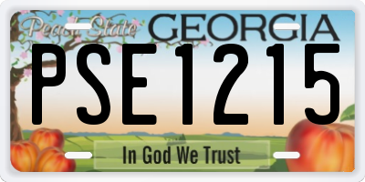 GA license plate PSE1215