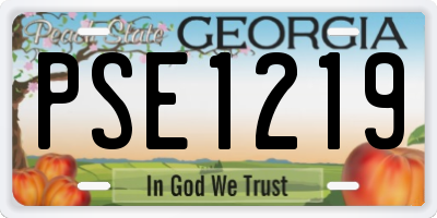 GA license plate PSE1219
