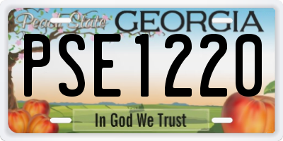 GA license plate PSE1220
