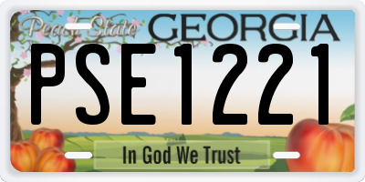 GA license plate PSE1221