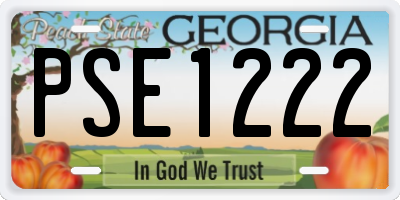 GA license plate PSE1222