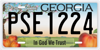GA license plate PSE1224